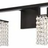 Budget 🧨 Elegant Furniture & Lighting Phineas 2-Light Bath In Black & Clear 🌟